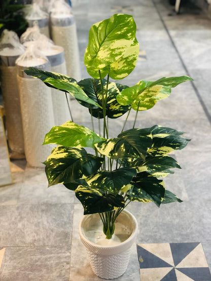 3.5 Ft Artificial Money Plant with 24 Leaves in White Textured Pot | Premium Indoor Green Décor for Home & Office