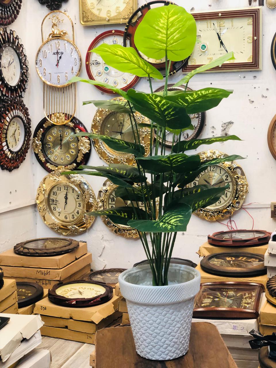 3.5 Ft Artificial Money Plant with 24 Leaves in White Textured Pot | Premium Indoor Green Décor for Home & Office