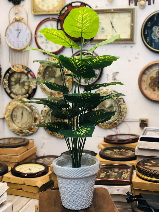 3.5 Ft Artificial Money Plant with 24 Leaves in White Textured Pot | Premium Indoor Green Décor for Home & Office