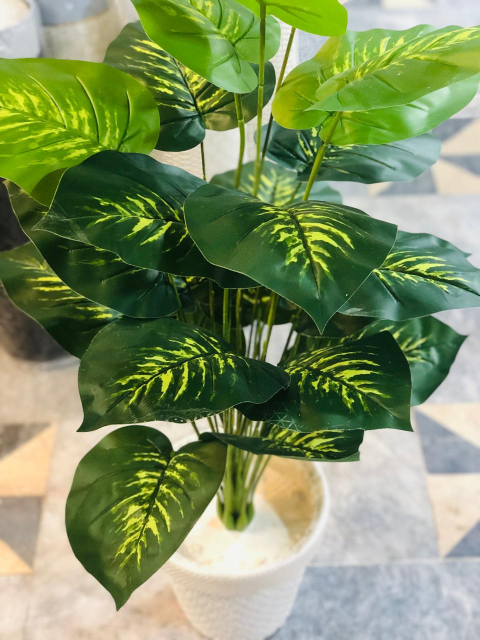 3.5 Ft Artificial Money Plant with 24 Leaves in White Textured Pot | Premium Indoor Green Décor for Home & Office