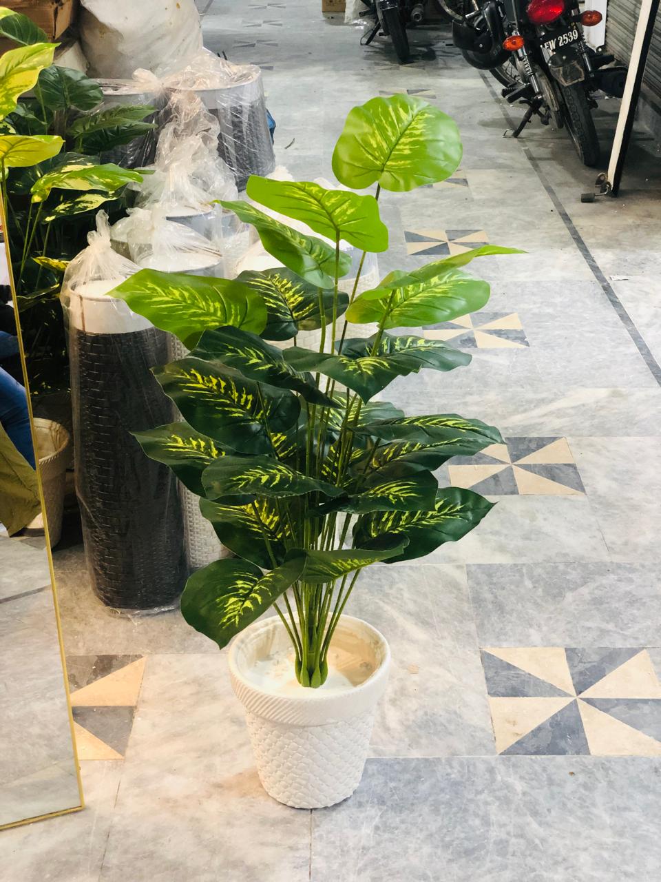 3.5 Ft Artificial Money Plant with 24 Leaves in White Textured Pot | Premium Indoor Green Décor for Home & Office