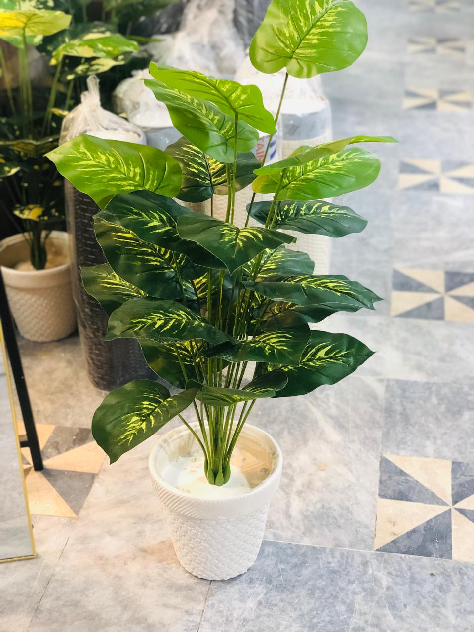 3.5 Ft Artificial Money Plant with 24 Leaves in White Textured Pot | Premium Indoor Green Décor for Home & Office