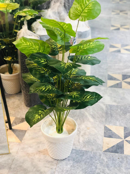 3.5 Ft Artificial Money Plant with 24 Leaves in White Textured Pot | Premium Indoor Green Décor for Home & Office