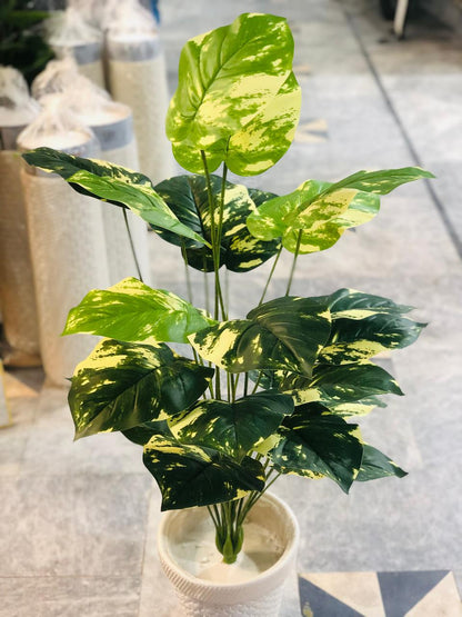 3.5 Ft Artificial Money Plant with 24 Leaves in White Textured Pot | Premium Indoor Green Décor for Home & Office