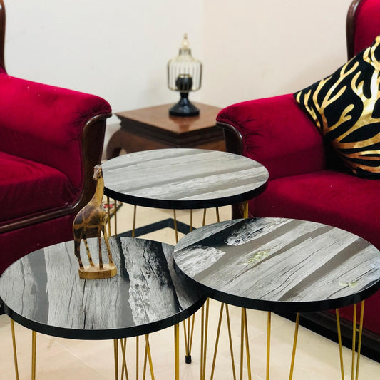 Set of 3 Modern Nesting Coffee Table By LUBNAS DECOR